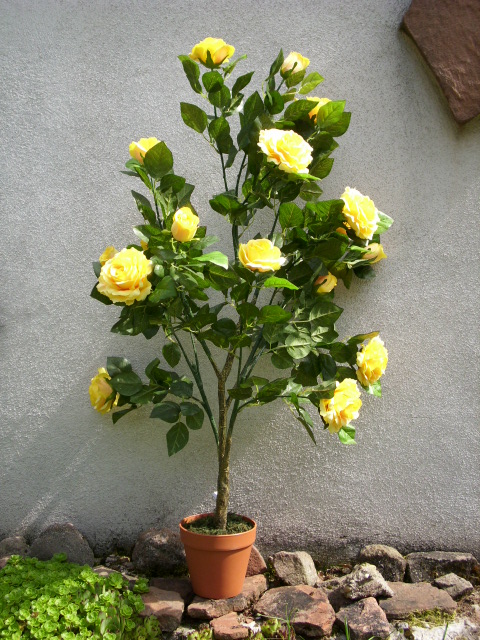 ROSENBAUM Hochstamm 110cm Blüte gelb m.Topf naturgetreu  